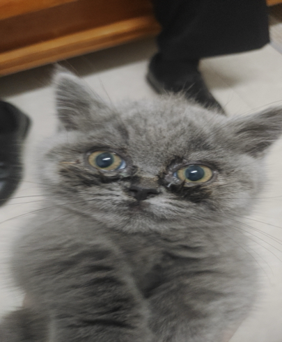 5fd260442bac82957f080ead69b1ab6a