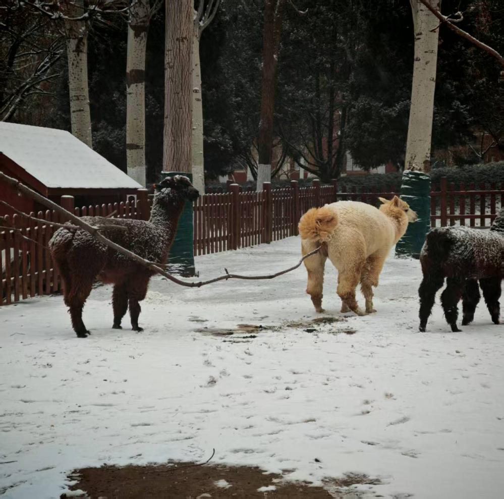 b55edd22e73bb9288281847d41cf7ebf